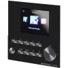 DABMAN i110 WLAN-internet-raadio + meediapleieri funktsioon. Puit