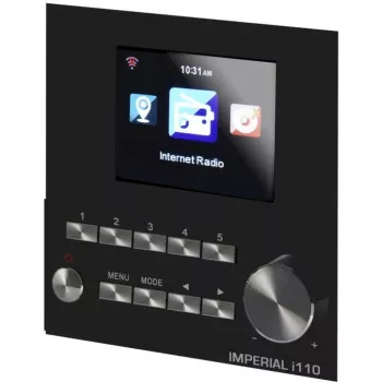 DABMAN i110 WLAN-internet-raadio + meediapleieri funktsioon. Puit