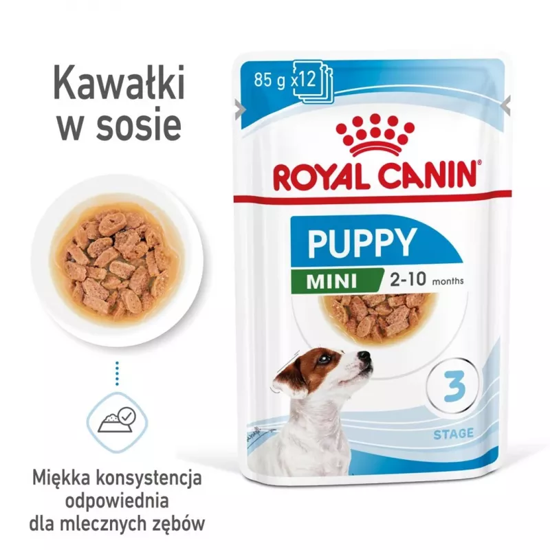 ROYAL CANIN SHN Mini Puppy kastmes - märg kutsikatoit - 12X85g
