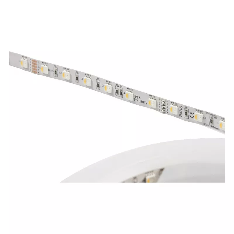 Synergy 21 LED Flex Strip 5050 - 60 RGB DC24V + RGB-W ühe kiibiga nw IP68