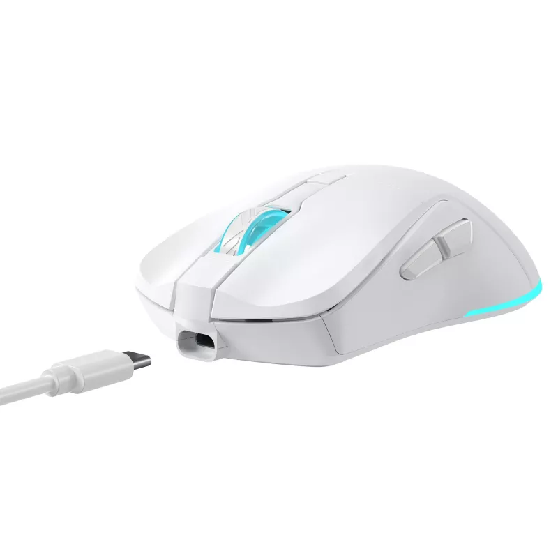 Baracuda BGM-122 Turtle valge hiir TURTLE-W