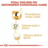 Royal Canin BHN Labrador Adult kuiv koeratoit, 12 kg