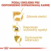 ROYAL CANIN BHN Yorkshire Terrieri täiskasvanud koera kuivtoit - 7.5 kg