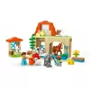 Ehitusmänguasi LEGO DUPLO Farm Animal Care komplekt 10416 — 74 tükki, 2 minifiguuri, vanus 2+