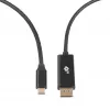 USB-C–DisplayPorti kaabel TB AKTBXVDUSBCDP2B 2 m — must