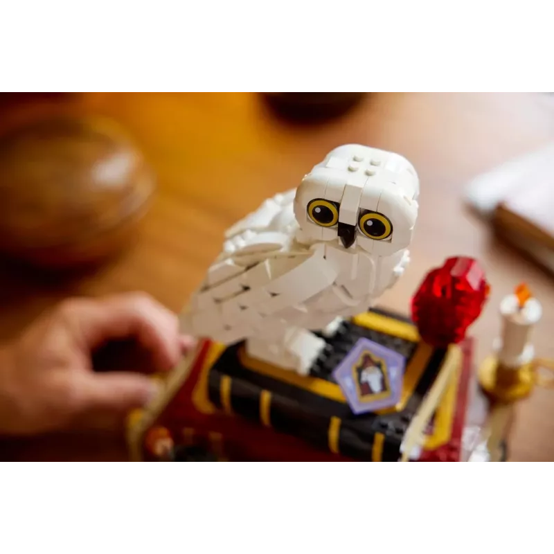 LEGO HARRY POTTER 76466 Tarkade kivi - kollektsionääri väljaanne