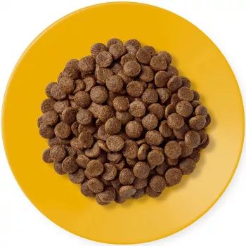 APPLAWS Adult Chicken - kuiv kassitoit - 400g