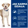 HILL'S PD D/D Food Sensitivities, pardi ja riis - kuiv koeratoit - 4kg
