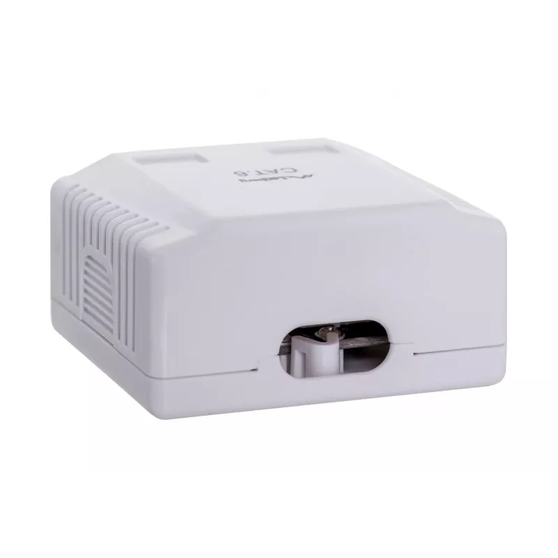 LANBERG Outlet Box RJ-45 Cat6 OU6-0002-W valge, 2 pesa, 30×54×57 mm