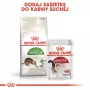 Kuiv kassitoit Royal Canin Active Life Outdoor 4 kg — Täiskasvanud, Linnuliha, 30% valku, 20% rasva