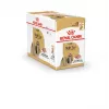 ROYAL CANIN Shih Tzu Adult märg koeratoit Pasteet 12x85 g