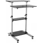 ROLINE PC seisutööjaam - alus LCD-ekraanile / klaviatuurile / hiirele / protsessorile / printerile - Plast, Metall - Hall, Must (17.02.1547)