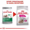Kuiv koeratoit Royal Canin Mini Exigent 1 kg — väikeste tõugude vanematele koertele, 30% valku, 22% rasva