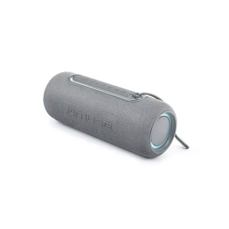 Muse M-780 LG juhtmeta kõlar, hõbedane