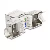 DeLOCK Keystone-moodul RJ45 pesa LSA-le Cat.6A metallriiv tööriistavaba 90° nurgaga varjestatud