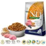 FARMINA N&D Ancestral Grain Puppy Medium&Maxi Lamb - kuivtoit koertele - 12 kg