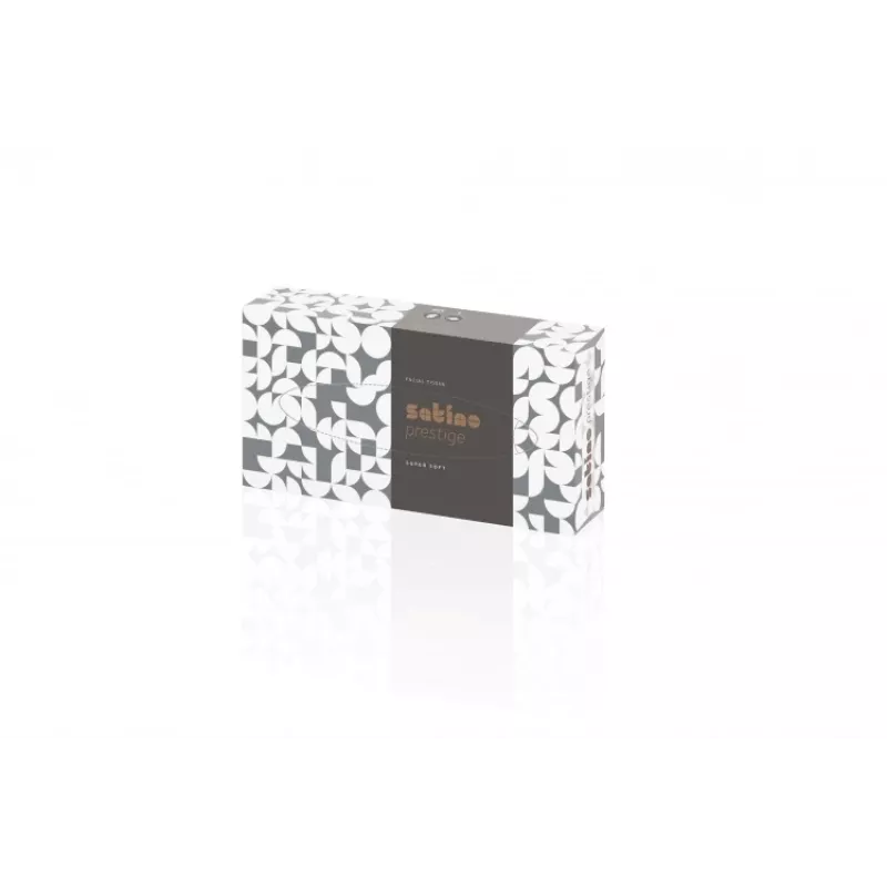 WEPA Prestige 2-kihilised näopaberid, valged, 100 tk