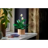 LEGO BOTANICALS 11504 Rahuliilia