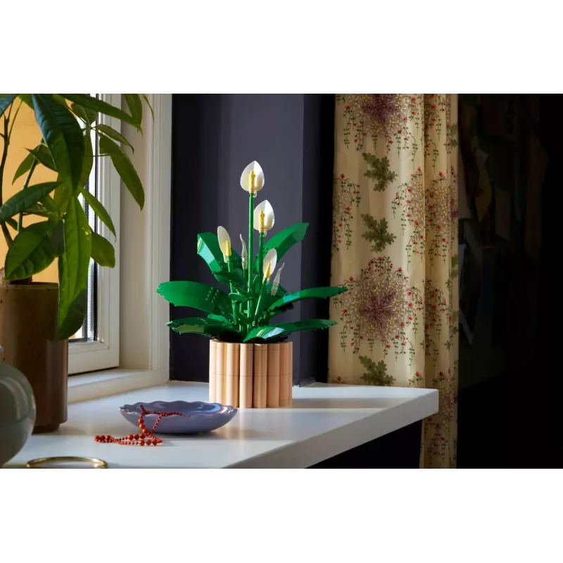 LEGO BOTANICALS 11504 Rahuliilia