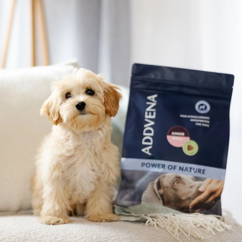ADDVENA Power of Nature Junior Small Lamb - kuiv koeratoit - 2,5 kg