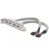 Pilupesa kaabel USB 2.0 HighSpeed tüüp 2xIDC (5pin)/4xUSB A M/F hall 0,25 m