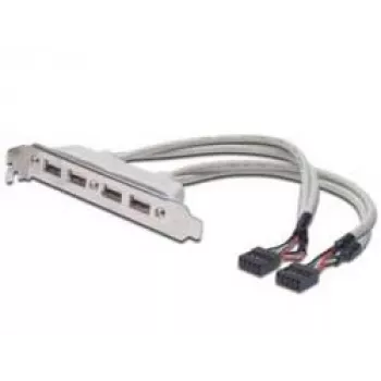 Pilupesa kaabel USB 2.0 HighSpeed tüüp 2xIDC (5pin)/4xUSB A M/F hall 0,25 m
