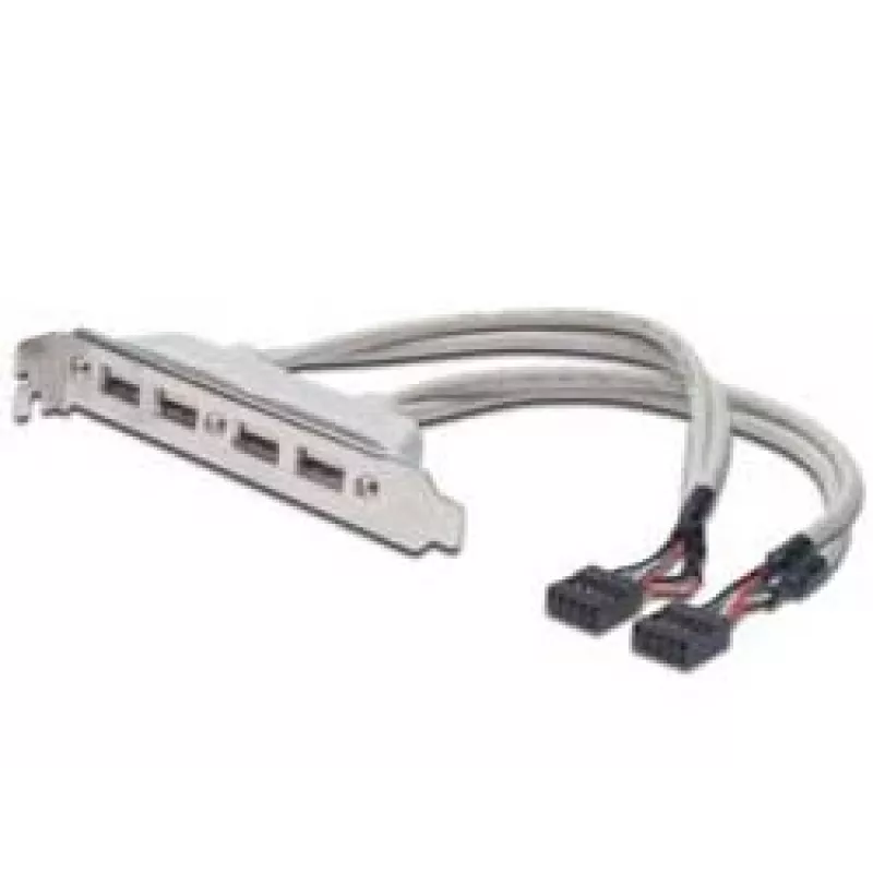 Pilupesa kaabel USB 2.0 HighSpeed tüüp 2xIDC (5pin)/4xUSB A M/F hall 0,25 m