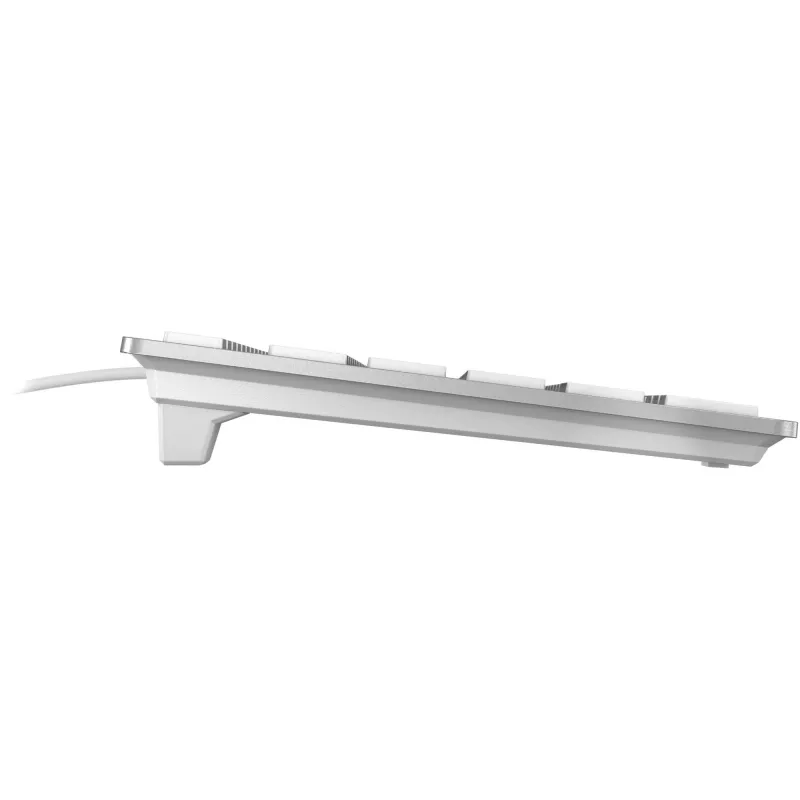 CHERRY KC 6000 õhuke FOR MAC klaviatuur Office USB QWERTZ German Silver
