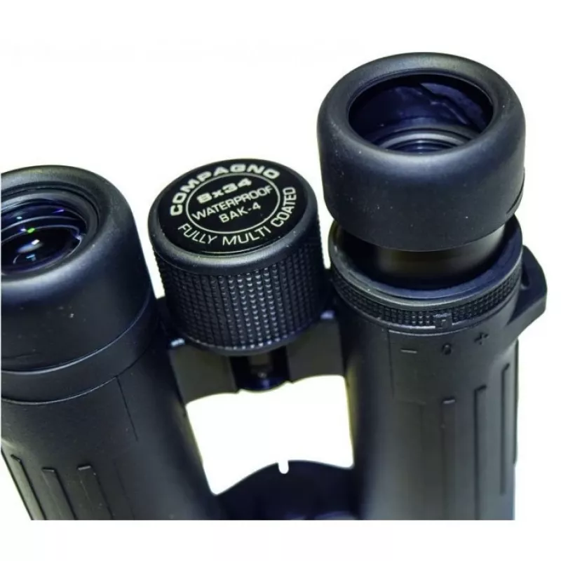 Binoklid Braun Photo Technik Compagno 10x34 WP BaK-4 Must
