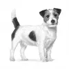 Kuiv koeratoit Royal Canin Gastrointestinal Low Fat Small 3,5 kg — veterinaarne dieet väikestele täiskasvanud koertele, madala rasvasisaldusega 7%, valku 22%