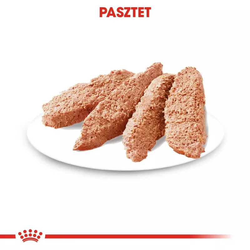 ROYAL CANIN Exigent Meat Universal märg koeratoit 12×85 g — linnuliha, täiskasvanud, valivale koerale
