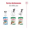 Märg koeratoit Royal Canin Mini Ageing 12+ Adult kotike 85 g — väikesed tõud, linnuliha, seenior