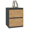 Topeshop W2 ANTRACYT/ARTISAN nightstand/Öökapp 2 sahtel(s) antratsiit, tamm