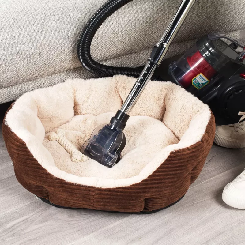 Tolmuimeja Beldray BEL0700TBVDE Compact Pet Plus