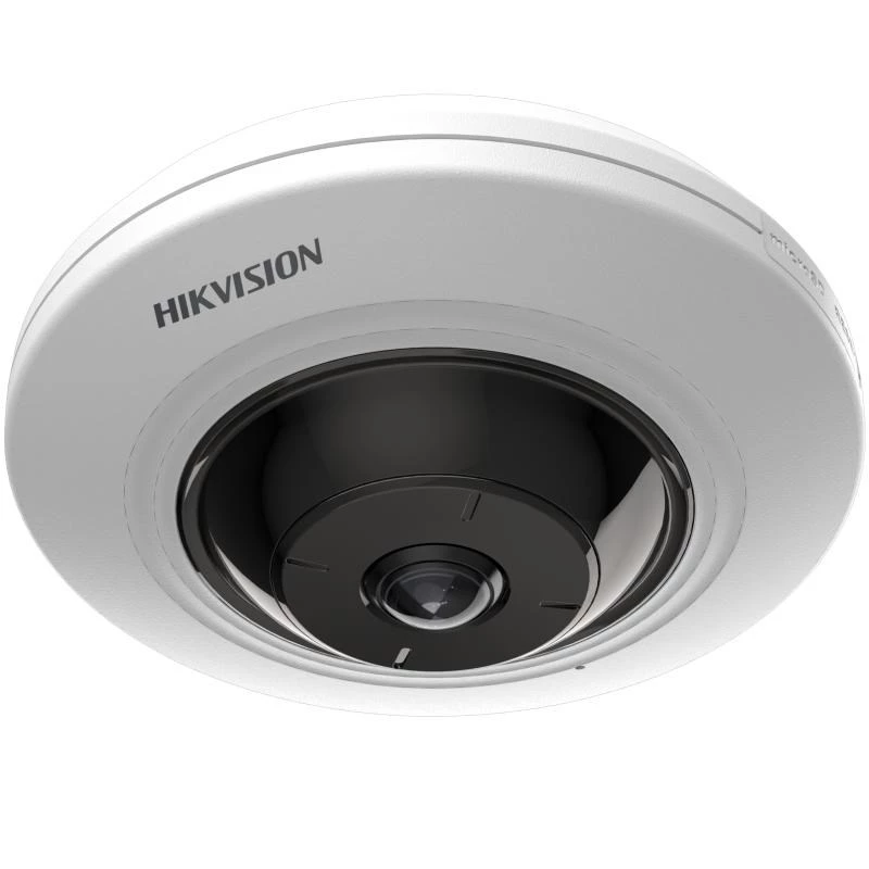 IP turvakaamera Hikvision DS-2CD2955G0-ISU(1.05MM) Kuplakaamera
