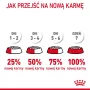 Royal Canini Urinary Care kuiv kassitoit 4 kg