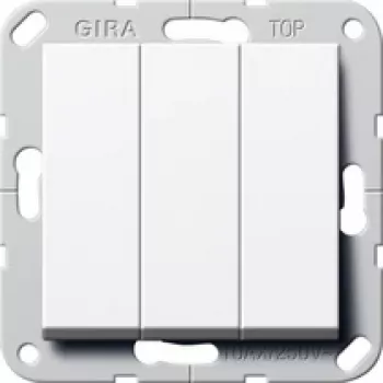 GIRA 283203 elektrilüliti 2P valge (283203)