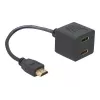 HDMI-adapter DeLOCK 65056 0,2 m isane 2x emasesse