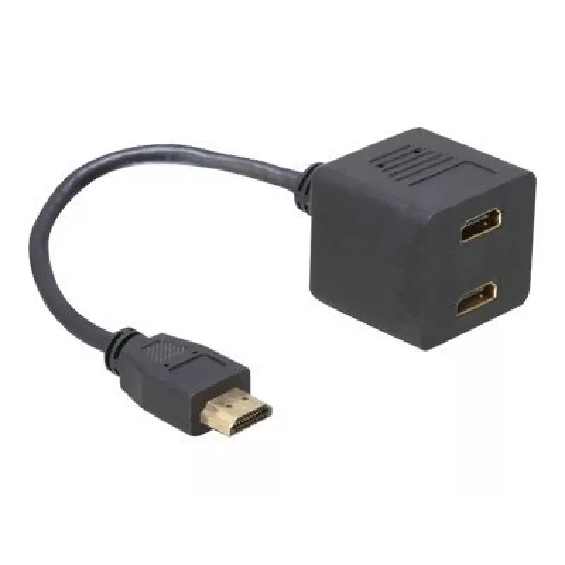 HDMI-adapter DeLOCK 65056 0,2 m isane 2x emasesse