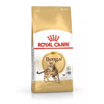 Royal Canin Bengali täiskasvanud kuiv kassitoit 10 kg — kana, 40% valku, 18% rasva