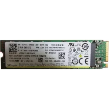 Sisemine SSD Dell 1TB PM9A1 (mudel: SSDR G44 80S3)