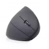 Gembird MUSW-ERGO-01 hiir paremakäeline RF-juhtmeta optiline 1600 DPI