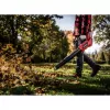 Professionaalne akulehepuhur GP-LB 36/230 Li E BL-Solo, 36 V (2 x 18 V) (punane/must, ilma aku ja laadijata)