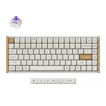 Juhtmevaba mehaaniline klaviatuur Keychron K2 Special Edition Valge RGB-taustvalgustusega, kompaktne 75% paigutus