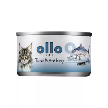 Ollo Tuunikala anšoovisega puljongis Nr 9 70g