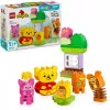 LEGO DUPLO 10457 Karupoeg Puhhi sünnipäevapidu