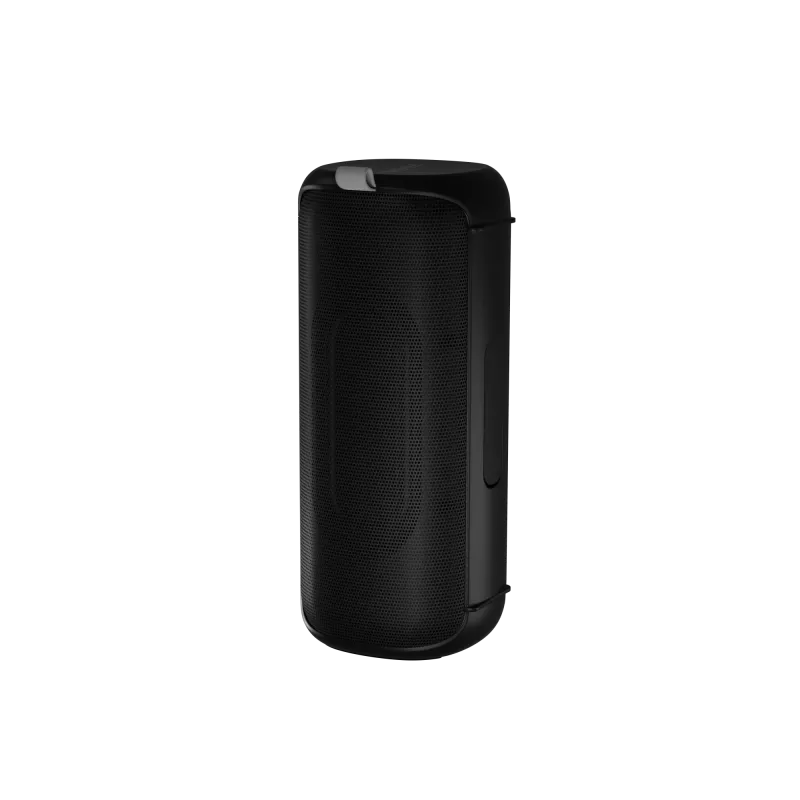 Stereo kaasaskantav kõlar Audictus Aurora Pro 20 W