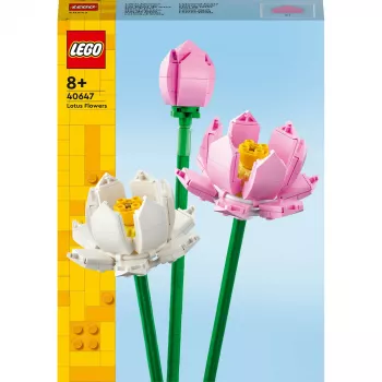 LEGO ehituskomplekt LEGO 40647 Lootoseõied — Botanical Collection modulaarne mudel, 220 detaili, kõrgus 300 mm, vanusele 8+