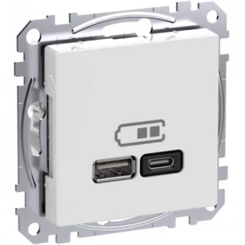 Seinapistikupesa Schneider Electric WDE002983 USB-A ja USB-C portidega, Power Delivery, valge