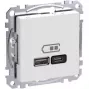 Seinapistikupesa Schneider Electric WDE002983 USB-A ja USB-C portidega, Power Delivery, valge